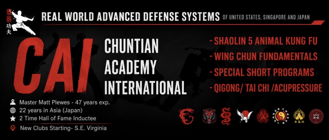 Logo for Chuntian Academy International 